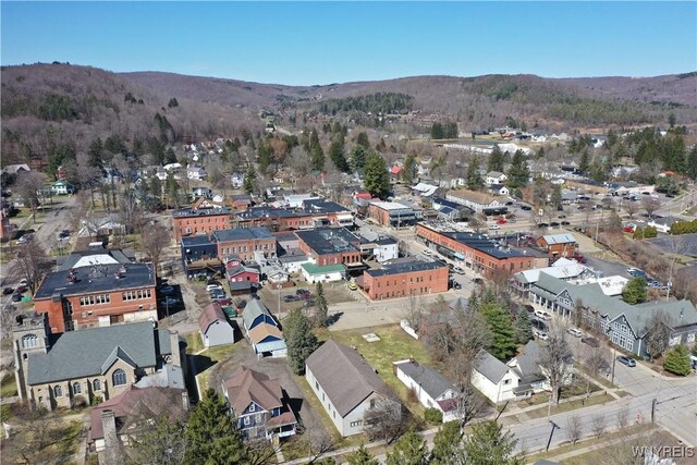 28 Martha St, Ellicottville, NY 14731 - photo 47