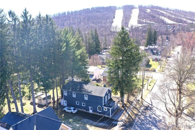 28 Martha St, Ellicottville, NY 14731 - photo 3