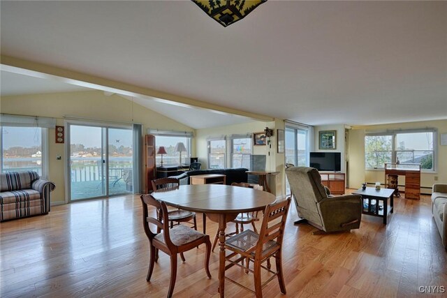 21093 Cliff Ave, Alexandria, NY 13607 - dining area featuring plenty of natural light, lofted ceiling, light wood-style floors, and a baseboard radiator