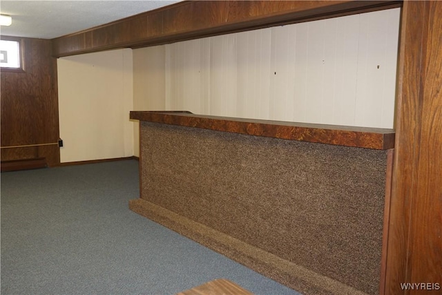 480 Lakeview Ave, Orchard Park, NY 14127 - bar area with carpet floors