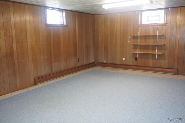 480 Lakeview Ave, Orchard Park, NY 14127 - basement with wood walls and carpet