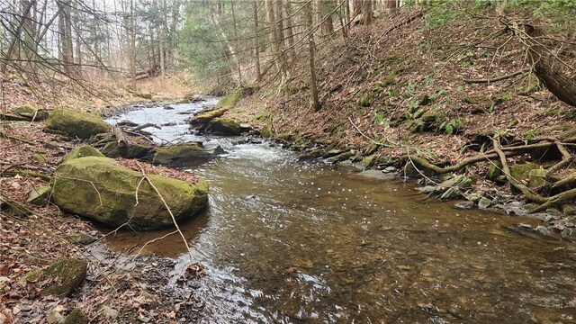 Listing photo 2 for Caton Rd, Canton NY 14830