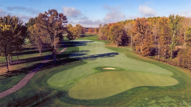 3515 Tall Tree Ln, Lysander, NY 13027 - view of community featuring golf course view