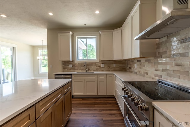 3515 Tall Tree Ln, Lysander, NY 13027 - kitchen featuring appliances with stainless steel finishes, wall chimney exhaust hood, a sink, recessed lighting, and dark wood finished floors