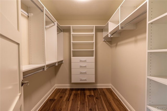 3515 Tall Tree Ln, Lysander, NY 13027 - spacious closet with dark wood-style floors