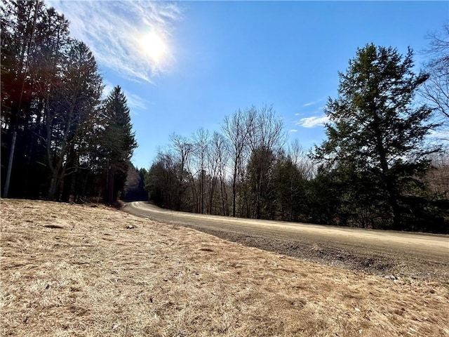 166 Backus Rd, New Lisbon, NY 13342 - view of road with a wooded view