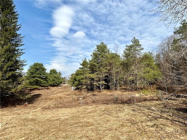 166 Backus Rd, New Lisbon, NY 13342 - view of nature