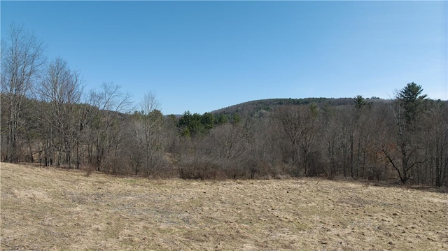0 Foster Rd, Masonville, NY 13804 - photo 5