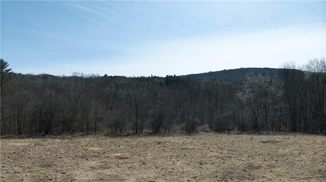 0 Foster Rd, Masonville, NY 13804 - photo 6