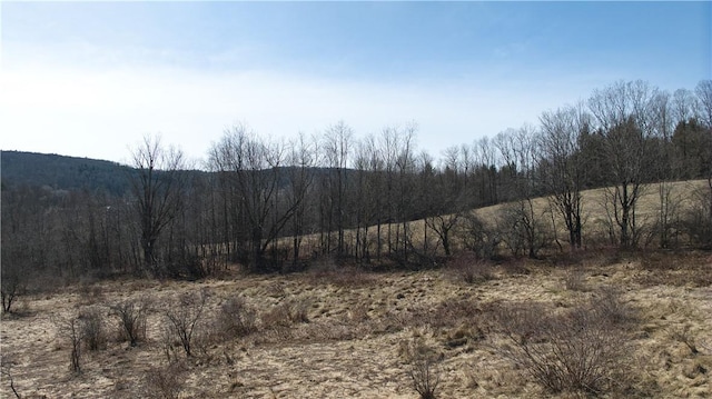 0 Foster Rd, Masonville, NY 13804 - photo 7