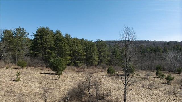 0 Foster Rd, Masonville, NY 13804 - photo 9