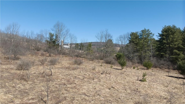 0 Foster Rd, Masonville, NY 13804 - photo 10