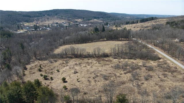 0 Foster Rd, Masonville, NY 13804 - photo 3