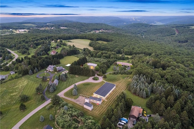 10289-10288 Whispering Wind Trl, Corning, NY 14830 - aerial view at dusk of a view of trees and a mountain view
