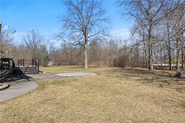 4369 Autumn Ln, Lewiston, NY 14092 - view of yard