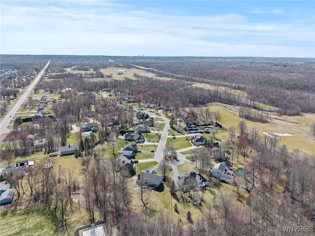 4369 Autumn Ln, Lewiston, NY 14092 - bird's eye view