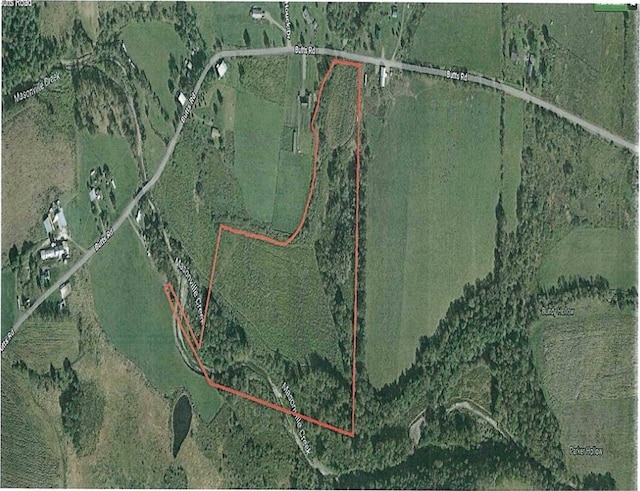 Butts Rd, Bainbridge NY, 13733 land for sale