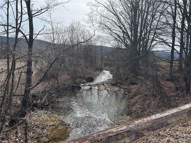 Listing photo 2 for Butts Rd, Bainbridge NY 13733