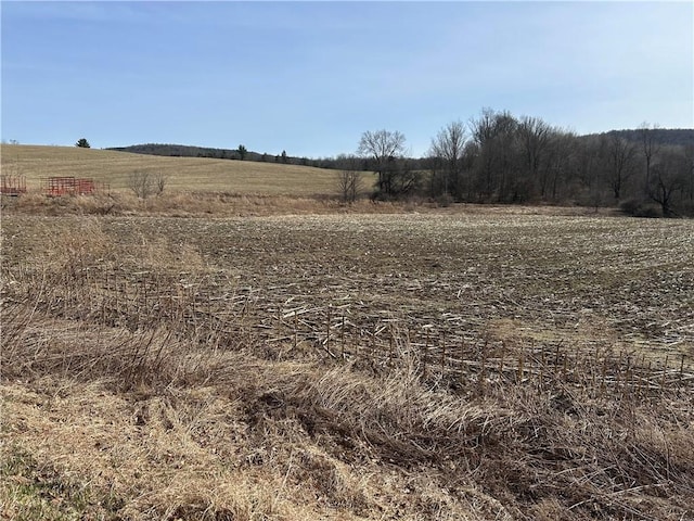 Listing photo 3 for Butts Rd, Bainbridge NY 13733
