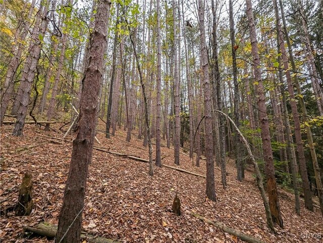 Listing photo 2 for 00 State Route 414, Hornby NY 14830
