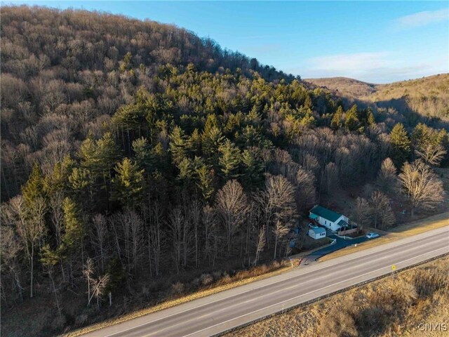 Listing photo 3 for 00 State Route 414, Hornby NY 14830