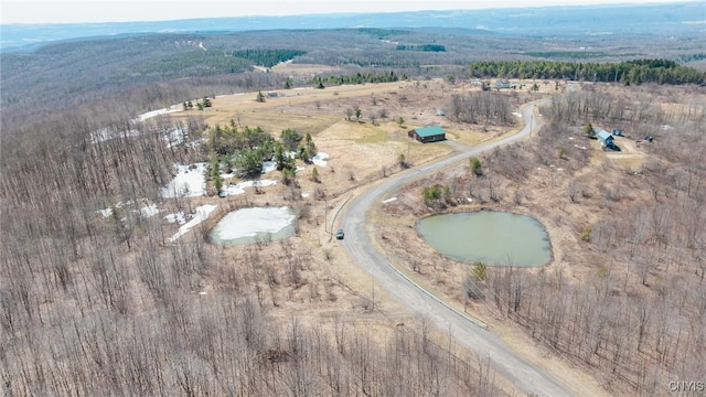 LOT31 Twin Ponds Dr, Herkimer, NY 13350