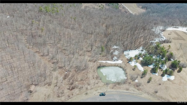 LOT31 Twin Ponds Dr, Herkimer, NY 13350