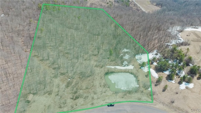 LOT31 Twin Ponds Dr, Herkimer, NY 13350