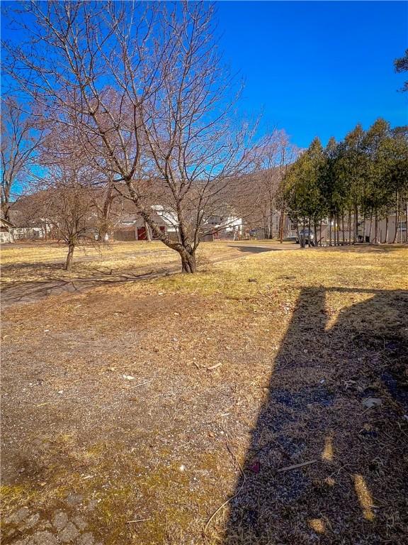 1230 Lake St, Elmira-City, NY 14901 - view of yard