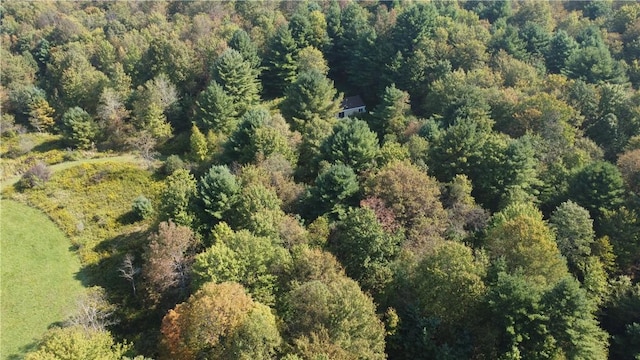 570 Farnham Rd, Sanford, NY 13865