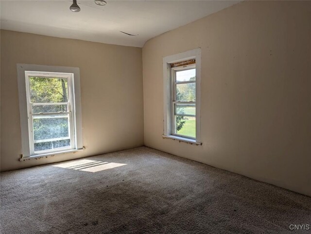 7994 Tannery Rd, Western, NY 13486 - photo 23