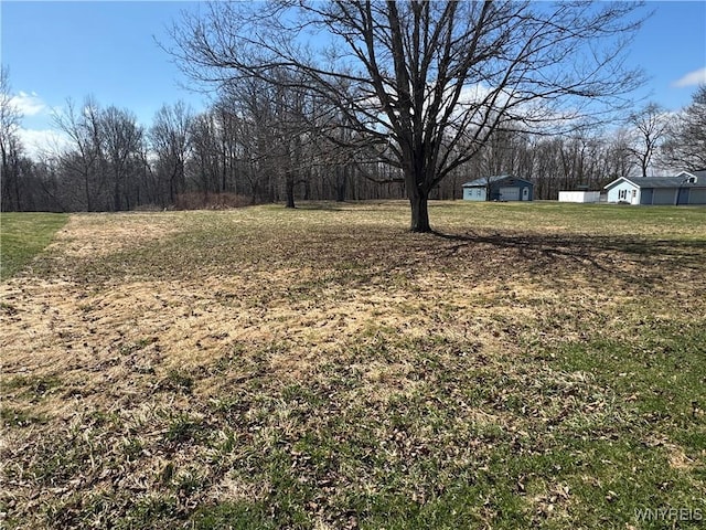 V/L Armes Court, Collins, NY 14070 - photo 2