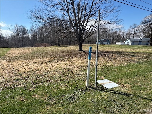 V/L Armes Court, Collins, NY 14070 - photo 3