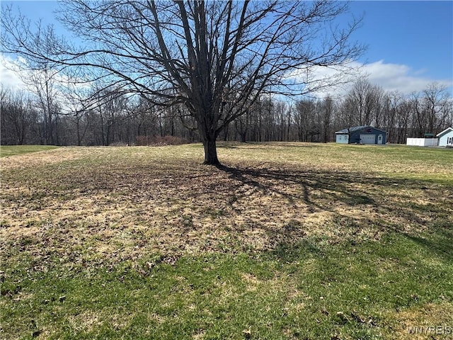 V/L Armes Court, Collins, NY 14070 - photo 4