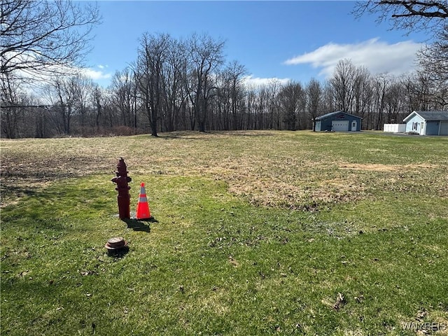 V/L Armes Court, Collins, NY 14070 - photo 5