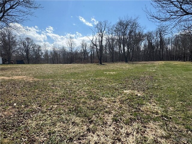 V/L Armes Court, Collins, NY 14070 - photo 6