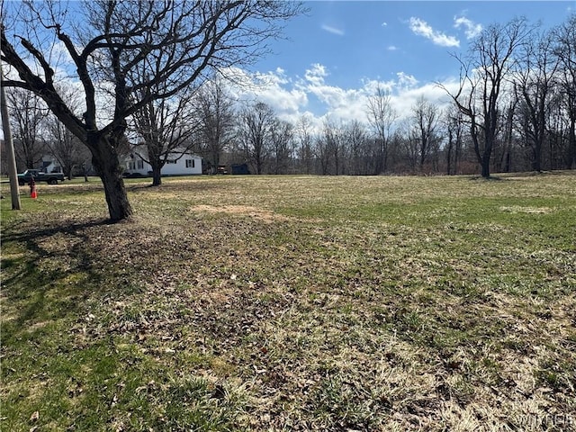 V/L Armes Court, Collins, NY 14070 - photo 7
