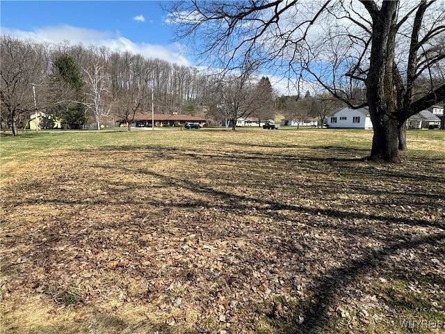 V/L Armes Court, Collins, NY 14070 - photo 8