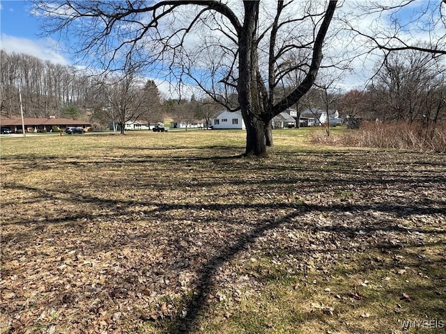 V/L Armes Court, Collins, NY 14070 - photo 9