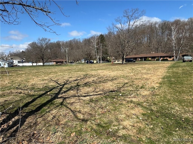 V/L Armes Court, Collins, NY 14070 - photo 10