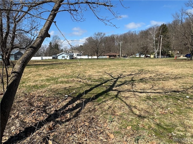 V/L Armes Court, Collins, NY 14070 - photo 11