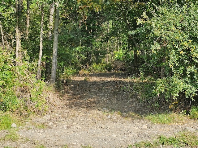 690 Steege Hill Rd, Big Flats, NY 14814 - photo 1