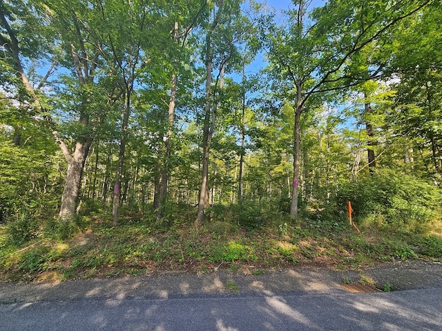 690 Steege Hill Rd, Big Flats, NY 14814 - photo 2