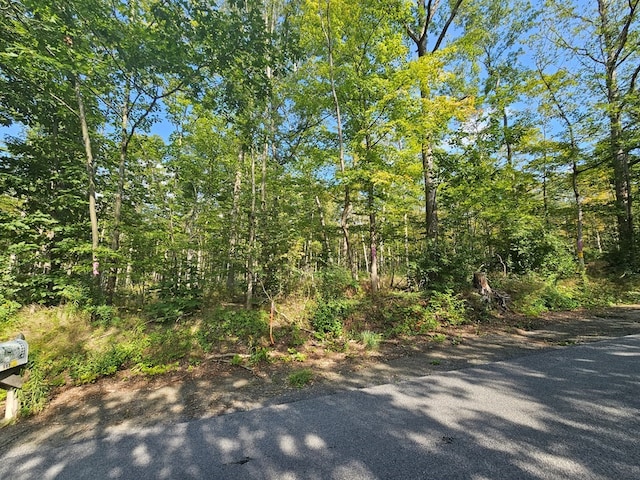 690 Steege Hill Rd, Big Flats, NY 14814 - photo 3