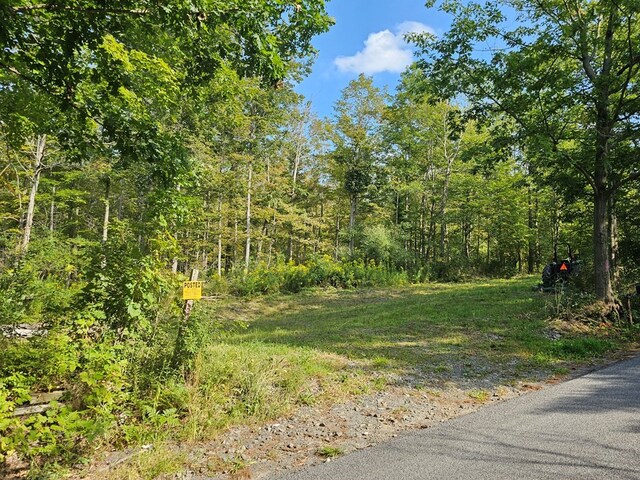 690 Steege Hill Rd, Big Flats, NY 14814 - photo 4
