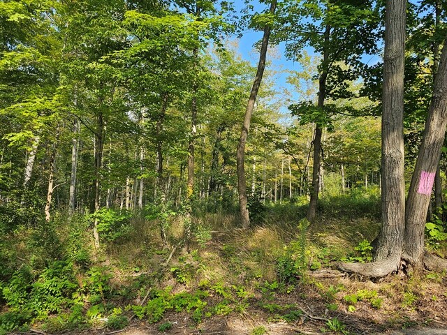 690 Steege Hill Rd, Big Flats, NY 14814 - photo 5