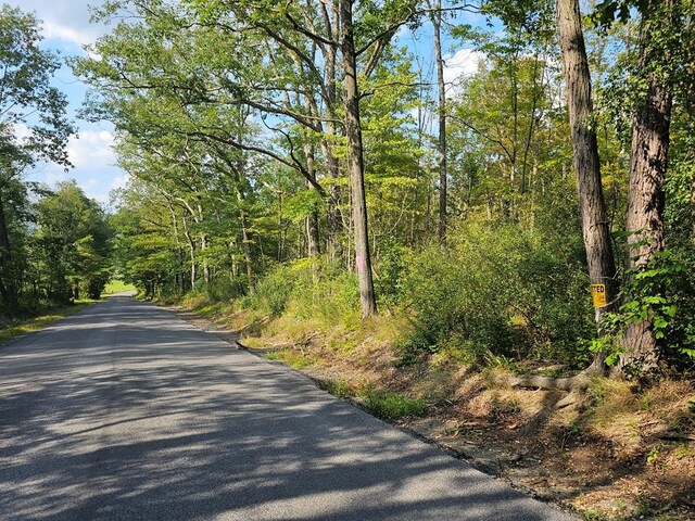690 Steege Hill Rd, Big Flats, NY 14814 - photo 6