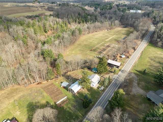 11257 Rte 19, Hume, NY 14735 - photo 44