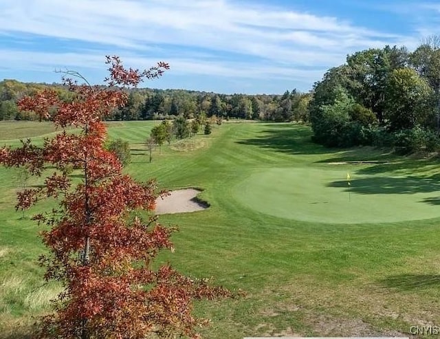 208 Eatonville Rd, Little Falls, NY 13365 - surrounding community with view of golf course, a putting green, and a yard