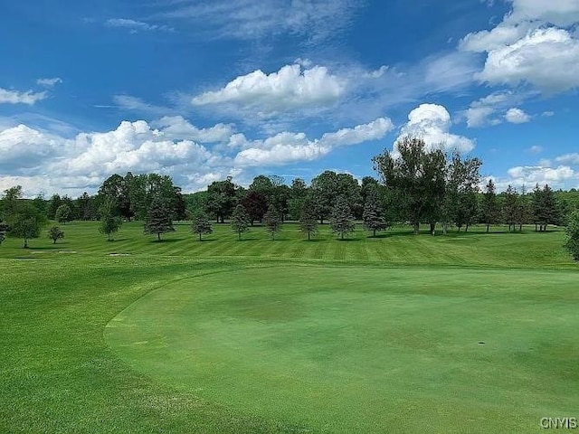 208 Eatonville Rd, Little Falls, NY 13365 - view of home's community with a lawn and view of golf course